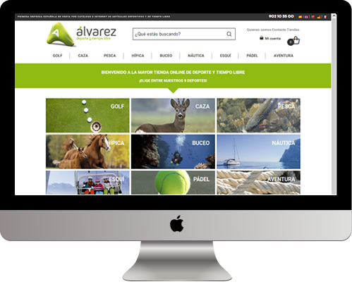 /images/proyectos-tiendas-online/tienda-online-alvarez-1.jpg